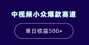 中视频小众爆款赛道，7天涨粉5万+，小白也能无脑操作，轻松月入上万【揭秘】-瀚海资源库