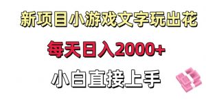 新项目小游戏文字玩出花日入2000+，每天只需一小时，小白直接上手【揭秘】-瀚海资源库