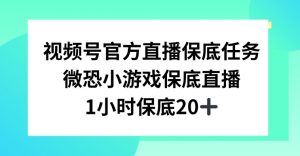 视频号直播任务，微恐小游戏，1小时20+【揭秘】-瀚海资源库