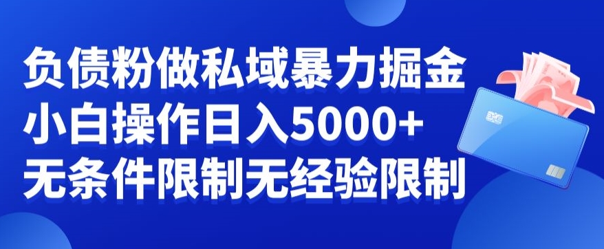 负债粉私域暴力掘金，小白操作入5000，无经验限制，无条件限制【揭秘】-瀚海资源库