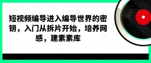 短视频编导进入编导世界的密钥，入门从拆片开始，培养网感，建素素库-瀚海资源库