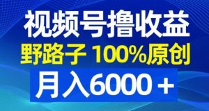 视频号野路子撸收益，100%原创，条条爆款，月入6000＋【揭秘】-瀚海资源库