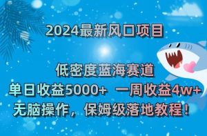 2024最新风口项目，低密度蓝海赛道，单日收益5000+，一周收益4w+！【揭秘】-瀚海资源库