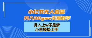 小红书无人直播月入30gmv实操教学，月入上w不是梦，小白轻松上手【揭秘】-瀚海资源库