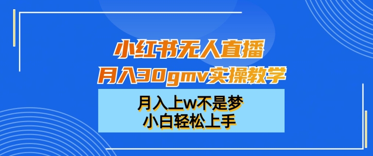 小红书无人直播月入30gmv实操教学，月入上w不是梦，小白轻松上手【揭秘】-瀚海资源库