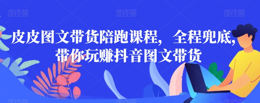 皮皮图文带货陪跑课程，全程兜底，带你玩赚抖音图文带货-瀚海资源库