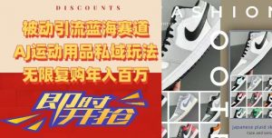 被动引流蓝海赛道，AJ运动用品私域玩法，无限复购年入百万【揭秘】-瀚海资源库