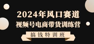 2024年风口赛道视频号电商带货训练营搞钱特训班，带领大家快速入局自媒体电商带货-瀚海资源库