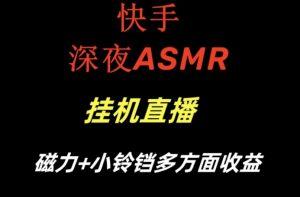 快手深夜ASMR挂机直播，磁力+小铃铛收益（附带工具和5G素材）【揭秘】-瀚海资源库