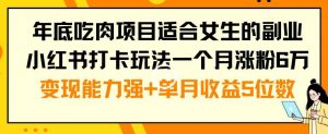 年底吃肉项目适合女生的副业小红书打卡玩法一个月涨粉6万+变现能力强+单月收益5位数【揭秘】-瀚海资源库