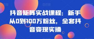 抖音矩阵实战课程：新手从0到100万粉丝，全套抖音变现实操-瀚海资源库