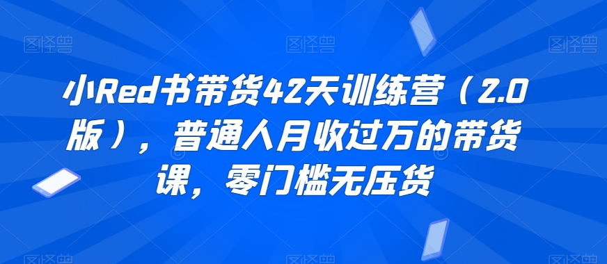 小Red书带货42天训练营（2.0版），普通人月收过万的带货课，零门槛无压货-瀚海资源库