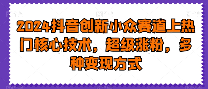 2024抖音创新小众赛道上热门核心技术，超级涨粉，多种变现方式【揭秘】-瀚海资源库