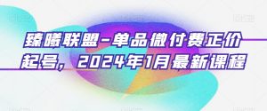 臻曦联盟-单品微付费正价起号，2024年1月最新课程-瀚海资源库
