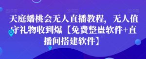 天庭蟠桃会无人直播教程，无人值守礼物收到爆【免费整蛊软件+直播间搭建软件】-瀚海资源库