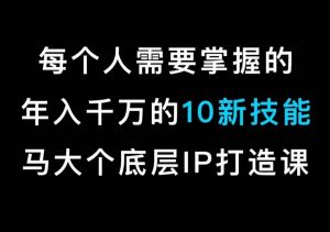 马大个的IP底层逻辑课，​每个人需要掌握的年入千万的10新技能，约会底层IP打造方法！-瀚海资源库