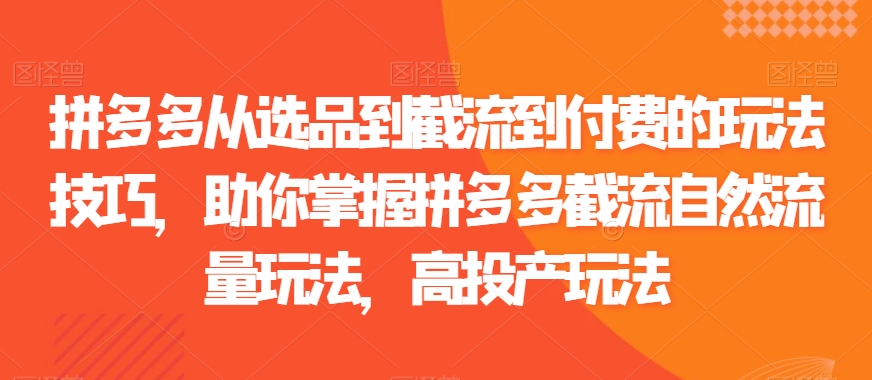 拼多多从选品到截流到付费的玩法技巧，助你掌握拼多多截流自然流量玩法，高投产玩法-瀚海资源库