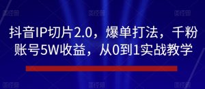 抖音IP切片2.0，爆单打法，千粉账号5W收益，从0到1实战教学【揭秘】-瀚海资源库