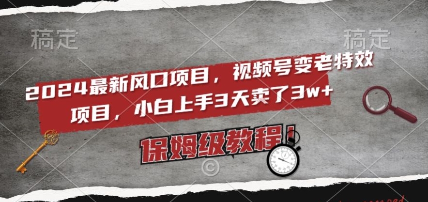 2024最新风口项目，视频号变老特效项目，电脑小白上手3天卖了3w+，保姆级教程【揭秘】-瀚海资源库