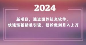 2024新项目，通过国外社交软件，快速涨粉精准引流，轻松做到月入上万【揭秘】-瀚海资源库
