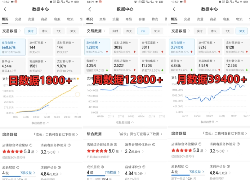 拼多多虚拟电商训练营月入30000+你也行，暴利稳定长久，副业首选-瀚海资源库