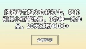 临近春节超火存钱打卡,轻松引爆小红薯流量,3分钟一条作品,20天涨粉4000+【揭秘】-瀚海资源库