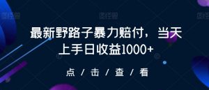 最新野路子暴力赔付，当天上手日收益1000+【仅揭秘】-瀚海资源库