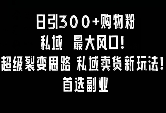 日引300+购物粉，超级裂变思路，私域卖货新玩法，小红书首选副业【揭秘】-瀚海资源库