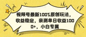 视频号最新100%原创玩法，收益稳定，亲测单日收益1000+，小白专属【揭秘】-瀚海资源库