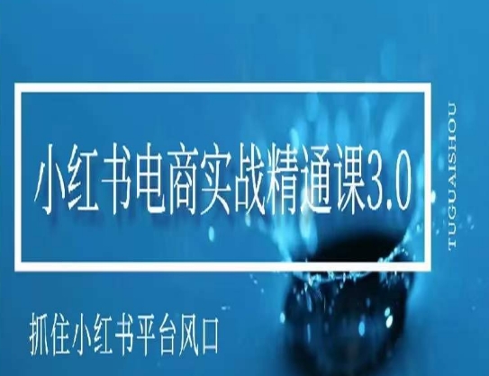 小红书电商实战精通课3.0，抓住小红书平台的风口，不错过有一个赚钱的机会-瀚海资源库