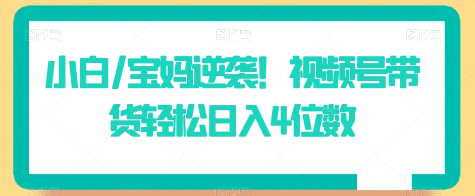 小白/宝妈逆袭！视频号带货轻松日入4位数【揭秘】-瀚海资源库