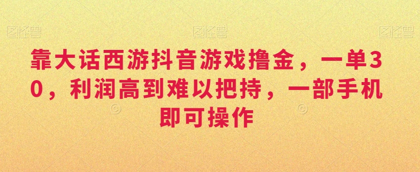 靠大话西游抖音游戏撸金，一单30，利润高到难以把持，一部手机即可操作，日入3000+【揭秘】-瀚海资源库