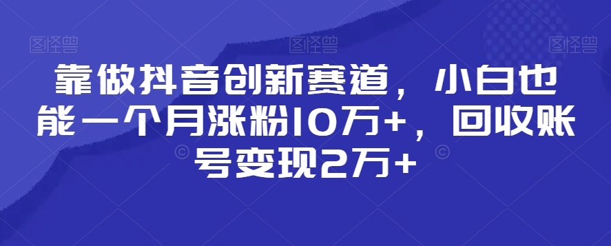 靠做抖音创新赛道，小白也能一个月涨粉10万+，回收账号变现2万+【揭秘】-瀚海资源库
