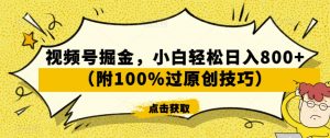 视频号掘金，小白轻松日入800+（附100%过原创技巧）【揭秘】-瀚海资源库