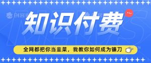2024最新知识付费项目,小白也能轻松入局,全网都在教你做项目,我教你做镰刀【揭秘】-瀚海资源库