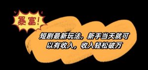 短剧最新玩法,新手当天就可以有收入,收入轻松破万【揭秘】-瀚海资源库