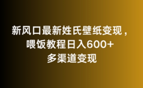 新风口最新姓氏壁纸变现，喂饭教程日入600+【揭秘】-瀚海资源库