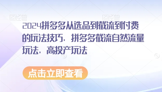 2024拼多多从选品到截流到付费的玩法技巧，拼多多截流自然流量玩法，高投产玩法-瀚海资源库