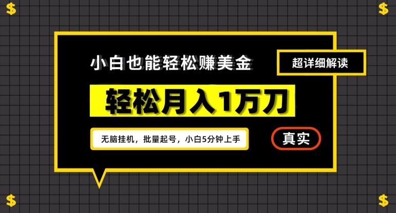 谷歌看广告撸美金2.0，无脑挂机，多号操作，月入1万刀【揭秘】-瀚海资源库