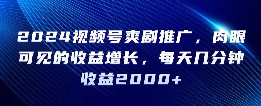 2024视频号爽剧推广，肉眼可见的收益增长，每天几分钟收益2000+【揭秘】-瀚海资源库