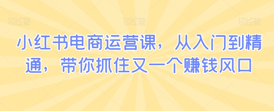 小红书电商运营课，从入门到精通，带你抓住又一个赚钱风口-瀚海资源库