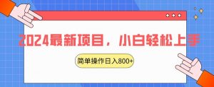 2024最新项目,红娘项目,简单操作轻松日入800+【揭秘】-瀚海资源库