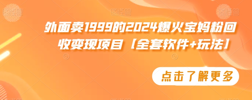 外面卖1999的2024爆火宝妈粉回收变现项目【全套软件+玩法】【揭秘】-瀚海资源库