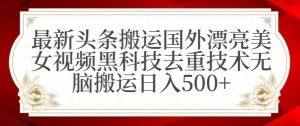 最新头条搬运国外漂亮美女视频黑科技去重技术无脑搬运日入500+【揭秘】-瀚海资源库