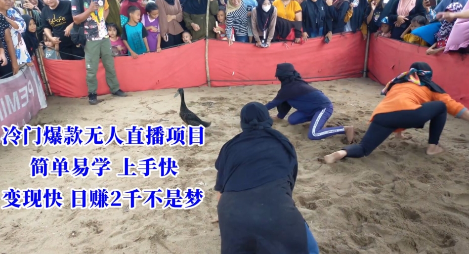 冷门爆款无人直播项目，简单易学上手快，变现快日赚2千不是梦【揭秘】-瀚海资源库