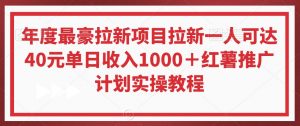 年度最豪拉新项目拉新一人可达40元单日收入1000＋红薯推广计划实操教程【揭秘】-瀚海资源库