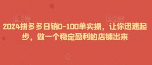 2024拼多多日销0-100单实操，让你迅速起步，做一个稳定盈利的店铺出来-瀚海资源库