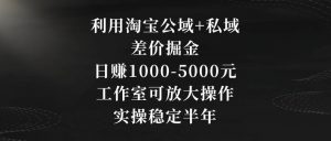 利用淘宝公域+私域差价掘金，日赚1000-5000元，工作室可放大操作，实操稳定半年【揭秘】-瀚海资源库