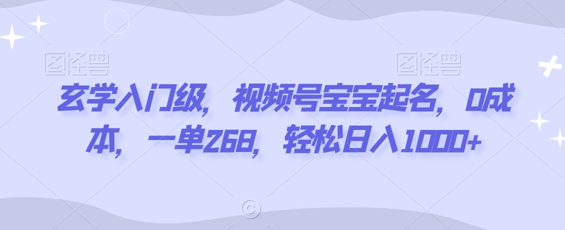 玄学入门级，视频号宝宝起名，0成本，一单268，轻松日入1000+【揭秘】-瀚海资源库