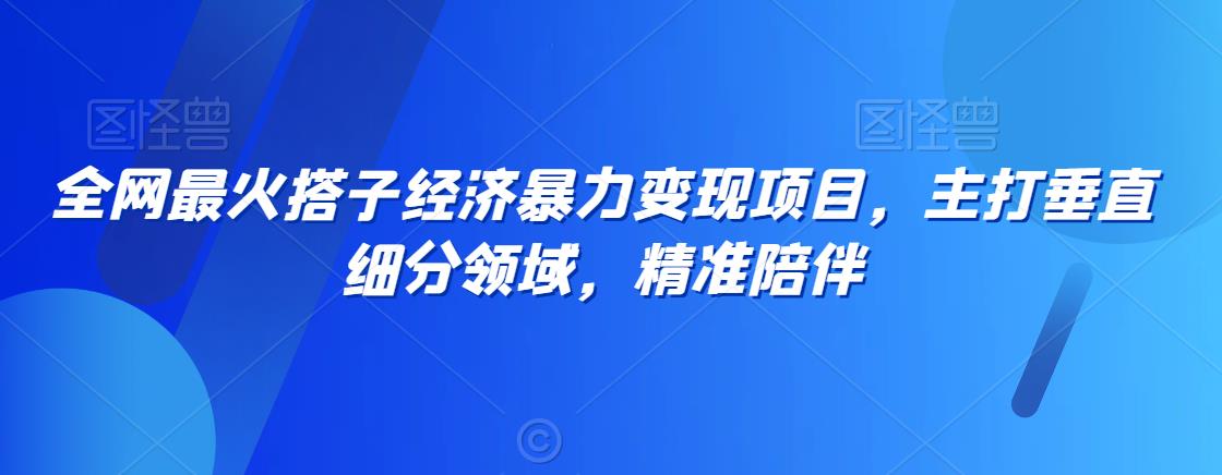 全网最火搭子经济暴力变现项目，主打垂直细分领域，精准陪伴【揭秘】-瀚海资源库